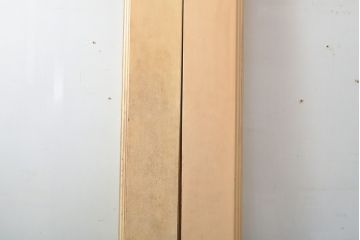 アンティーク建具　シンプルなデザインに古いドアハンドルが映える両開きドア1対(扉、玄関扉、ドア2枚セット)(R-056200)