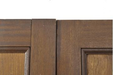 アンティーク建具　迫力のある佇まい!洋館の両開きドア1対(扉、ドア2枚セット)(R-056466)