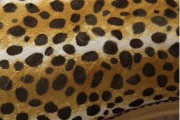 ビンテージ　希少デザイン!　豹柄のファブリックがおしゃれなアームチェア(肘掛け椅子、イス、サロンチェア、ヴィンテージ)(R-056606)