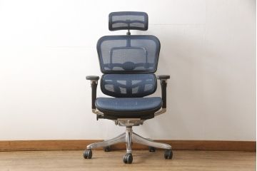 中古　美品　Ergohuman PRO(エルゴヒューマン・プロ)　メッシュ　在宅ワーク用にもおすすめ!　スタイリッシュなワークチェア(アームチェア、椅子、イス)(R-056610)