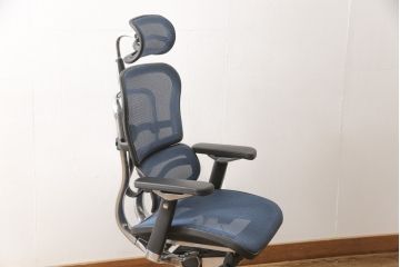 中古　美品　Ergohuman PRO(エルゴヒューマン・プロ)　メッシュ　在宅ワーク用にもおすすめ!　スタイリッシュなワークチェア(アームチェア、椅子、イス)(R-056610)