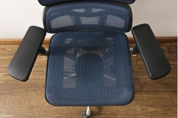 中古　美品　Ergohuman PRO(エルゴヒューマン・プロ)　メッシュ　在宅ワーク用にもおすすめ!　スタイリッシュなワークチェア(アームチェア、椅子、イス)(R-056611)