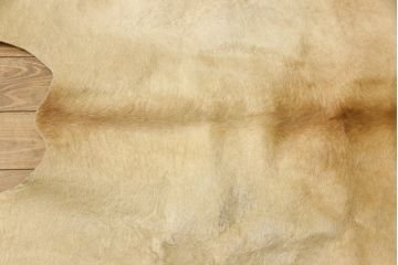 中古 本革(レザー)　特大サイズ!風合い豊かなカウラグ(マット、カーペット)(R-056664)