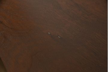 イギリスアンティーク　マホガニー材製　すっきりとしたエレガントなデザイン!組み立て式の両袖机(ニーホールデスク、プレジデントデスク)(R-057087)