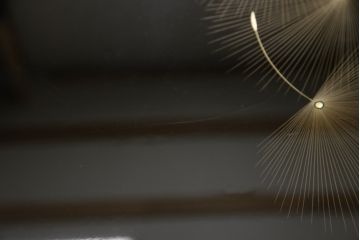 中古　伝統工芸家具　輪島塗り　繊細な沈金の意匠が美しい座卓(ローテーブル、センターテーブル)(R-057145)