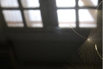 中古　伝統工芸家具　輪島塗り　繊細な沈金の意匠が美しい座卓(ローテーブル、センターテーブル)(R-057145)