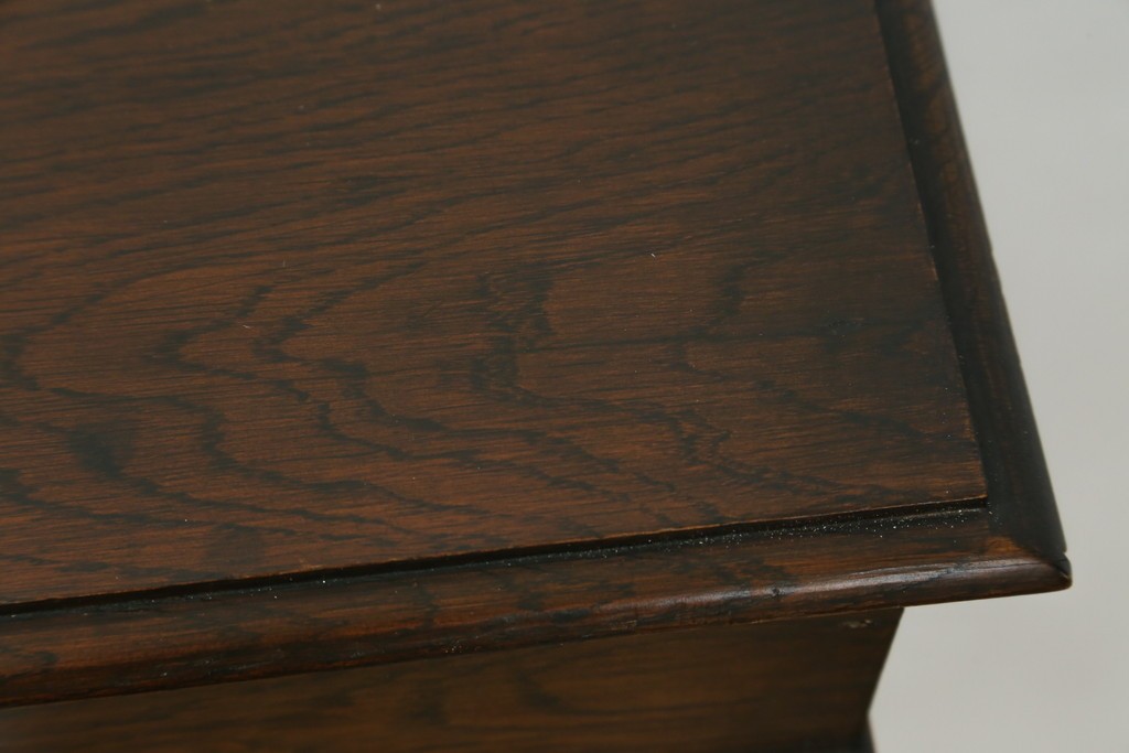 イギリスアンティーク　オーク材　クラシカルな雰囲気を醸し出すステンドグラスブックケース　(R-057344)