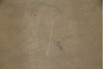 中古　サァラ麻布取り扱い　アメリカ最高級ブランド　センチュリー(CENTURY)　天板バーズアイ　モダンなデザインが魅力の特大エクステンションダイニングテーブル(エクステンションテーブル)(定価約200万円)(R-057577)
