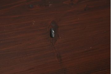和製アンティーク　美品　前面欅(ケヤキ)材　漆のきれいな二段重ね米沢箪笥(和箪笥、収納箪笥、時代箪笥、引き出し)(R-057944)