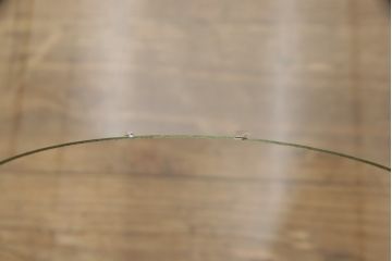フランスアンティーク　中に入れるもので違った雰囲気を楽しめるガラスドーム(グローブドマリエ、グローブ・ド・マリエ)(R-058105)