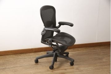 中古　美品　Hermanmiller(ハーマンミラー社)　ランバーサポート　Bサイズ　座り心地を追求したアーロンチェア(オフィスチェア、アームチェア、ワークチェア)(R-058228)