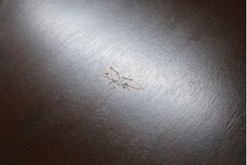 中古　美品　松本民芸家具　特注サイズ　大小の引き出しが8杯も付いて収納力抜群のサイドチェスト(サイドボード、衣装箪笥、整理タンス)(R-058897)