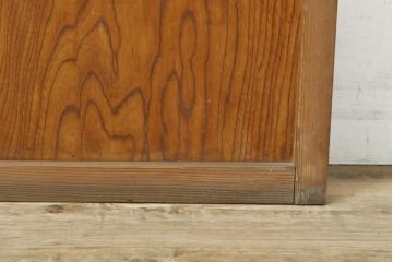 アンティーク建具　レトロな味わいが魅力のガラス戸1枚(引き戸、建具)(R-059116)