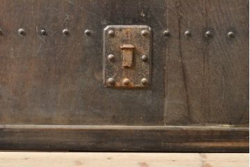 アンティーク建具　総欅(ケヤキ)材　和の貫禄を漂わせる金網入り格子蔵戸1枚(きつね格子、狐格子、玄関戸、引き戸、建具、格子戸、マス目、升目)(R-059223)