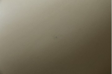 希少!!　中古　Poltrona Frau(ポルトローナ・フラウ)　EDOARDO(エドアル)　優雅なひと時を過ごせる総本革1人掛けソファ　定価約88万円　(R-059358)