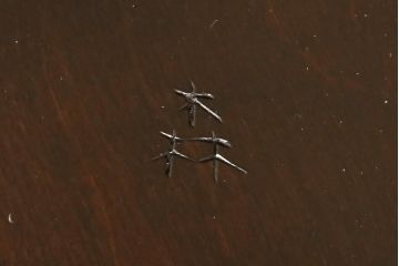 ヴィンテージ　松本民芸家具　絶版品!上品な意匠が趣溢れる希少なG型座卓(ローテーブル、ビンテージ)(R-059747)