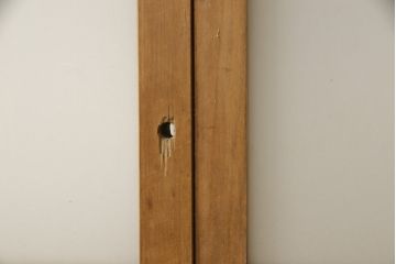 アンティーク建具　昭和レトロな雰囲気漂うすりガラス入りの引き戸2枚セット(窓、ガラス戸)(R-059980)