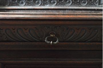 ベルギーアンティーク　希少サイズ　オーク材　凝ったデザインが目を惹く彫刻入りの縦型キャビネット(収納棚、戸棚、飾り棚)(R-060237)