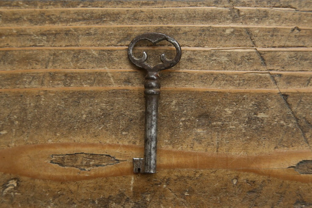 ベルギーアンティーク　希少サイズ　オーク材　凝ったデザインが目を惹く彫刻入りの縦型キャビネット　(R-060237)