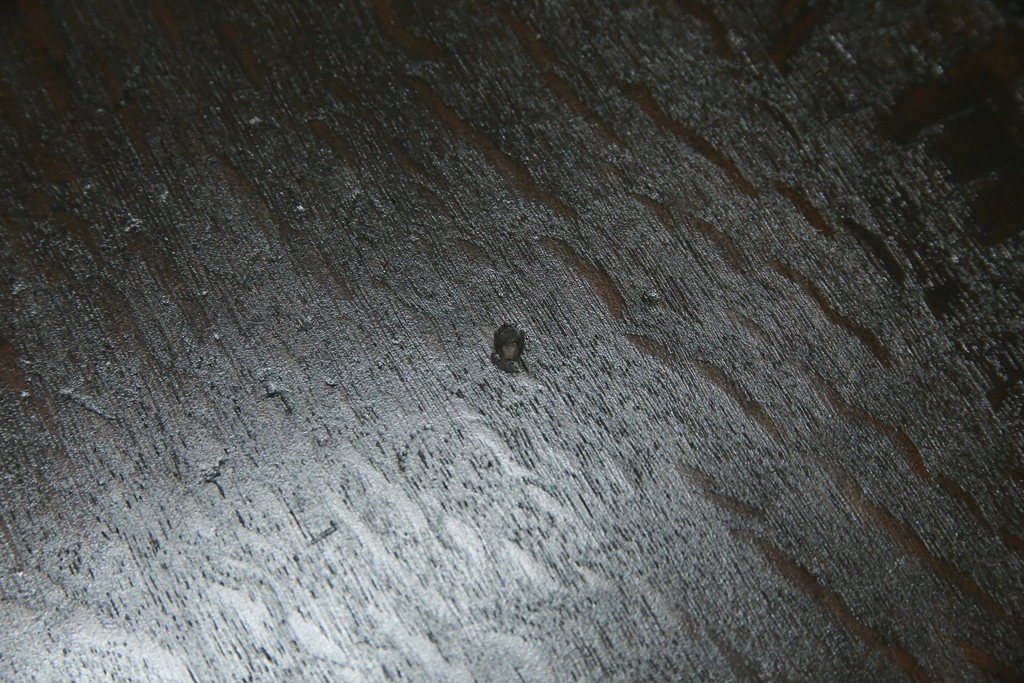 和製アンティーク　ナラ材　幕板下に棚のある珍しいデザインが魅力的な平机　(R-060311)