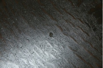 和製アンティーク　ナラ材　幕板下に棚のある珍しいデザインが魅力的な平机　(R-060311)