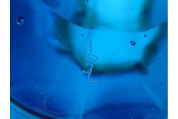 イタリア　ベネチアンガラス　 ビビットな色合いが魅力の花瓶(サイン有、作家物、ヴェネチアングラス、フラワーベース)(R-060586)