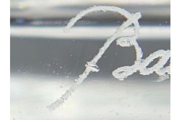フランス　バカラ　Baccarat　ギンコ　クリスタルの透明感を堪能できるフラワーベース(花瓶、フルレッドクリスタルガラス、GINKGO、箱なし)(R-060612)