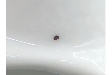 昭和レトロ　グリコ灰皿　アヒル小物入れ　ニッポンビール灰皿　キリン栓抜き　昔懐かしい雰囲気のノベルティグッズ合計4点セット(R-060657)