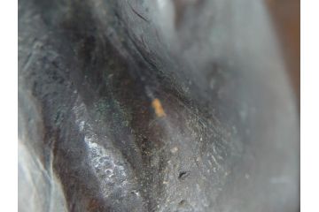 アメリカ製　少年と犬　微笑ましい一瞬を切り取った様なブロンズ像(RUNER、オブジェ)(R-060685)