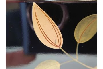 中古　伝統工芸　輪島塗り　凝ったデザインの引手金具と品のある花の絵柄が魅力の小引き出し(チェスト、小物収納、卓上収納)(定価約20万円)(R-060703)です。