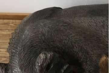 和製アンティーク　上西作　作家物　超特大　まるで本物!!　毛流れや鱗に至るまでとにかく彫りが良い!!　木彫りの熊(置物、置き物、ディスプレイ)(R-060882)