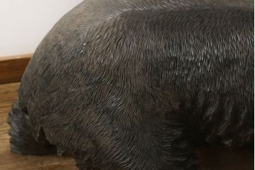 和製アンティーク　上西作　作家物　超特大　まるで本物!!　毛流れや鱗に至るまでとにかく彫りが良い!!　木彫りの熊(置物、置き物、ディスプレイ)(R-060882)