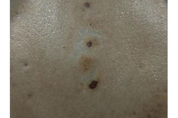 人間国宝　島岡達三　益子焼　象嵌赤繪盒子(共箱付き、民芸陶器、蓋付き器、小物入れ)(R-061080)