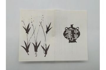 十四代　中里太郎右衛門(忠寛)　中里太郎右衛門窯　唐津焼　井戸茶碗(共箱付き、唐津井戸盃、茶道具、湯呑み、和食器、ボウル、作家物)(R-061139)