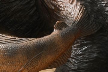 和製ビンテージ　特大サイズ　まるで本物!!　毛流れや鱗に至るまでとにかく彫りが良い!!　木彫りの熊(置物、置き物、ディスプレイ、ヴィンテージ)(R-061411)