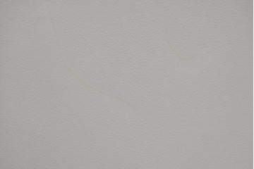 中古　美品　イタリア家具　Poltrona Frau(ポルトローナフラウ)　SEDIA LIZ(セディアリッツ)　スタイリッシュな空間を演出するダイニングチェア2脚セット　セット定価約29万円　(R-061528)