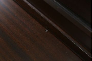 デンマークビンテージ　ローズウッド材　直線的なデザインがスタイリッシュで格好良いキャビネット(戸棚、収納棚、食器棚、飾り棚、ヴィンテージ)(R-061557)