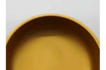 輪島塗　蒔絵　春秋　桜と紅葉の共演美が目を引く棗(共箱付き、金地、茶器、漆器、漆工芸)(R-061653)