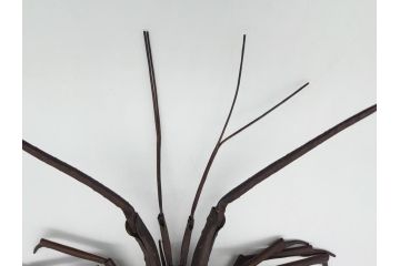 金工師　藤原弘美　銅　伊勢海老　自在置物　関節が動くとてもリアルな置物(工芸品、インテリア)(R-061662)