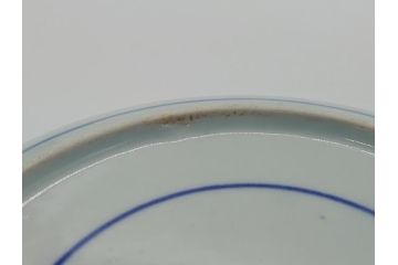 江戸期　古伊万里　染付　花唐草文　牡丹　6.3寸　約19cm　可憐な牡丹と小花がかわいい中皿(六寸三分、和皿、和食器、変形皿)(R-061698)