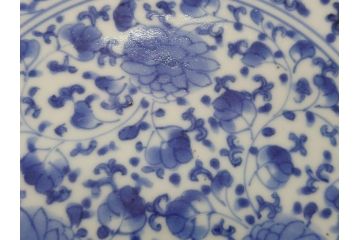 江戸期　古伊万里　染付　花唐草文　牡丹　6.3寸　約19cm　可憐な牡丹と小花がかわいい中皿(六寸三分、和皿、和食器、変形皿)(R-061698)