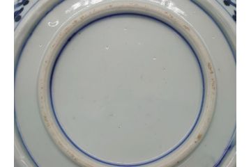 幕末期　上手物　金彩色絵　二重高台　7.6寸皿　約23cm　きらびやかに輝き美しい大鉢(七寸六分、和皿、皿、大皿、紅葉、小花、獅子、渦、和食器)(R-061700)