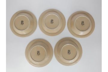 ARABIA　FINLAND　Ruija(ルイージャ)　Ulla Procope(ウラ・プロコッペ)　シンプルで使い勝手のよいスーププレート5枚セット(皿、深皿、ボウル、アラビア、フィンランド、北欧食器)(R-061703)