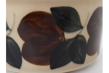 ARABIA　FINLAND　Ruija(ルイージャ)　Ulla Procope(ウラ・プロコッペ)　優しさと温かみある絵付けが印象的なティーカップ&ソーサー3客セット(アラビア、フィンランド、Sモデル、北欧食器、C&S)(R-061720)
