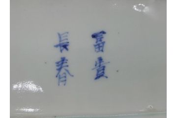 江戸期　富長貴春(富貴長春)　古伊万里　染付　金彩　色絵　蛸唐草　7.3寸皿　約22cm　大胆かつ繊細な絵柄に魅了される長皿2客(七寸三分、和皿、角皿、和食器)(R-061777)