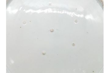 江戸期　古伊万里　染付　山水図　唐子　9.2寸皿　約28cm　ぷっくりとした愛らしい唐子図の大皿(九寸二分、和皿、和食器)(R-061797)