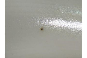 幕末　富長貴春(富貴長春)　金彩　色絵　染付　松竹梅文　華やかな色彩が目を惹く8.3寸深鉢(和食器)(R-061817)