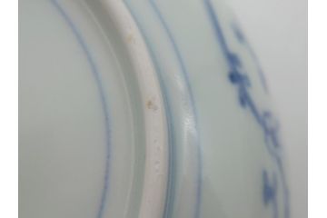 江戸期　古伊万里　宣徳年製　染付　変形　蛸唐草文　5寸皿　約15cm　総蛸唐草の絵付けに魅了される皿3枚セット(五寸、和皿、なます皿、和食器)(R-061819)