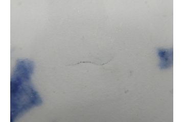 江戸期　古伊万里　染付　蛸唐草文　5寸皿　約15cm　伊万里焼の伝統美が詰まった皿3枚セット(五寸、和皿、小皿、小鉢、和食器)(R-061820)