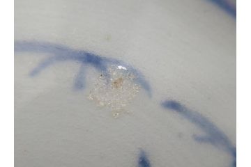 江戸期　古伊万里　染付　蛸唐草文　5寸皿　約15cm　伊万里焼の伝統美が詰まった皿3枚セット(五寸、和皿、小皿、小鉢、和食器)(R-061820)